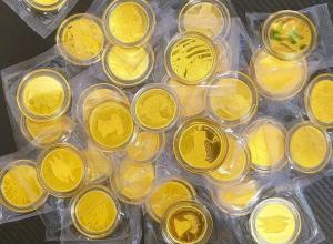 Buffalo Gold Coin Set: 4 Unique Designs