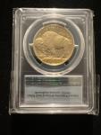 2016-W $50 Proof American Gold Buffalo Coin