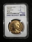 2023 Gold Buffalo Coin MS70 Early Release