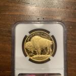 2022 Gold Buffalo 1oz Proof Coin - PF70 UC
