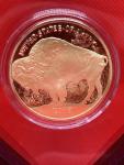 2016 Buffalo $50 Gold Proof Coin 🇺🇸💯✨