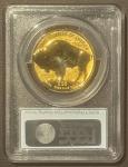 2013-W Buffalo Gold Coin 1 oz Reverse Proof