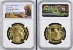 2025 American Buffalo Gold Proof Coin NGC PR69