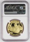 2006 W $50 American Buffalo Gold Proof Coin