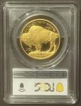 2020-W Buffalo $50 Gold Proof Coin 1 oz