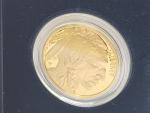 2006 1 Oz American Buffalo Gold Proof Coin
