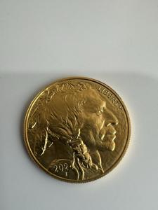 2024 American Gold Buffalo Coin 1 oz $50