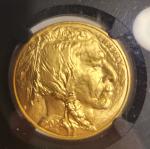 2023 $50 Gold Buffalo First Day of Issue