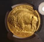 2023 $50 Gold Buffalo First Day of Issue
