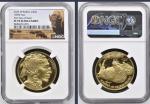 2025 Gold Proof American Buffalo Coin $50 PF70