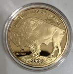 2026 Gold Buffalo Proof Coin with COA