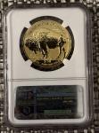 2013-W $50 Gold Buffalo Reverse Proof Coin