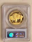 2006-W 1 oz $50 American Buffalo Gold Coin