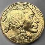 2023 American Buffalo Gold 1 oz $50 Coin