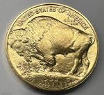 2023 American Buffalo Gold 1 oz $50 Coin