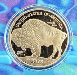2023 Gold Plated American Buffalo Indian Head Coin