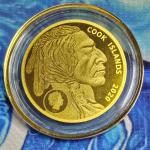 2025 Indian Buffalo $5 Gold Coin 24k Pure Gold