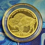 2025 Indian Buffalo $5 Gold Coin 24k Pure Gold