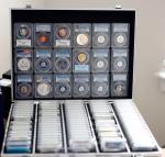 Buffalo Gold Coins Collector Starter Set