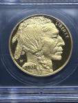 2020-W $50 American Gold Buffalo 1 Oz Coin