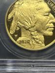 2020-W $50 American Gold Buffalo 1 Oz Coin