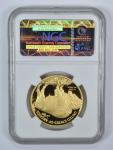 2008-W $50 American Gold Buffalo 1 Oz Coin