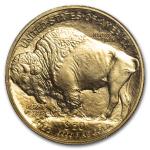 2023 1 oz Gold Buffalo Coin MS-70 PCGS