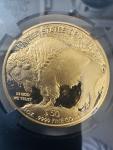 2024 Gold Buffalo Coin NGC PF70 Ultra Cameo