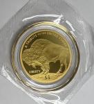 2024 Buffalo $5 Gold Coin - .9999 Fine