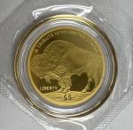 2024 Buffalo $5 Gold Coin - .9999 Fine