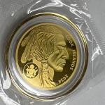 2024 Buffalo $5 Gold Coin - .9999 Fine