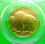 2025 $50 Gold Buffalo PCGS MS70 First Strike