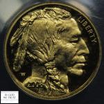 2008 W Deep Cameo 1/10 Oz Gold Buffalo Coin