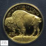 2008 W Deep Cameo 1/10 Oz Gold Buffalo Coin