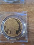 2025 Pure Gold Buffalo Coin Set of 2