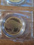 2025 Pure Gold Buffalo Coin Set of 2