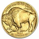 2024 1 oz $50 Gold Buffalo Coin MS-70