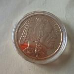 2023 Colorized Gold Gilded American Buffalo Coin