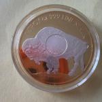 2023 Colorized Gold Gilded American Buffalo Coin