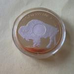 2023 Colorized Gold Gilded American Buffalo Coin