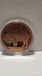5oz Copper Round Indian Buffalo Coin in Capsule