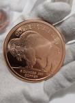 5oz Copper Round Indian Buffalo Coin in Capsule