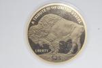 2023 Buffalo Gold Coin 1.2 Grams .9999