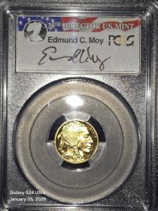 2008 W $5 1/10 OZ American Gold Buffalo Coin