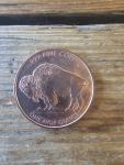 1 oz Indian Buffalo Copper Coin Ornament Capsule