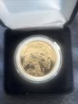 2006 American Buffalo Gold Proof Coin
