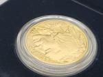 2006 1 Oz American Buffalo Gold Proof Coin
