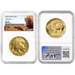2026 $50 American Gold Buffalo Coin MS70