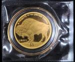 2025 Indian Buffalo $5 Gold Coin .9999 Fine