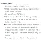 2008-W $5 American Gold Buffalo PR70DCAM